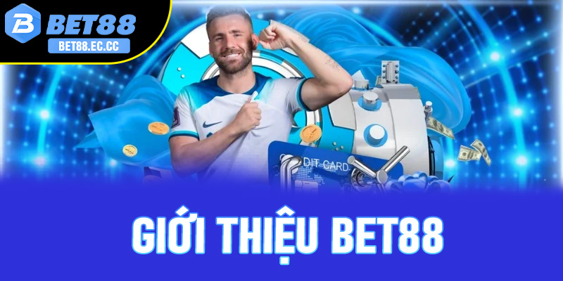 Khám phá nguồn gốc và tầm nhìn thương hiệu