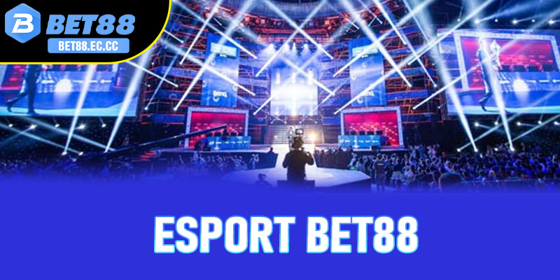 Sảnh esports thống trị thị trường cá cược 2026